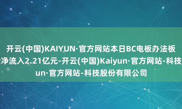 开云(中国)KAIYUN·官方网站本日BC电板办法板块获主力资金净流入2.21亿元-开云(中国)Kaiyun·官方网站-科技股份有限公司